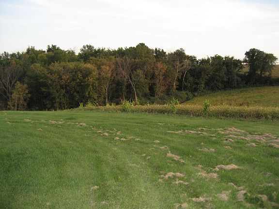 Building Site + Ag Land, Red Wing