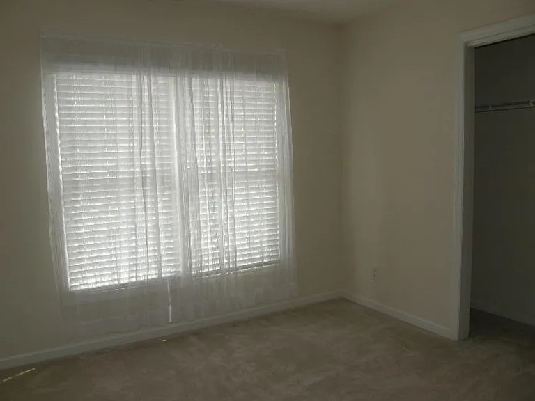 207 Cove Creek Dr — Photo 12