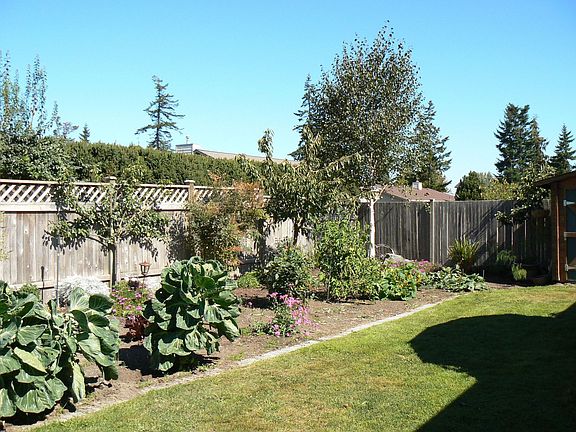 Fully fenced back yard with garden space and established landscape.