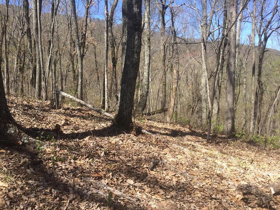 2nd image of 6509 Ferry Rd