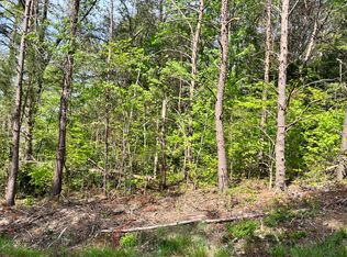 Painter Ave, Fall Branch, TN 37656