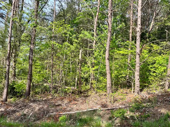 Painter Ave, Fall Branch, TN 37656