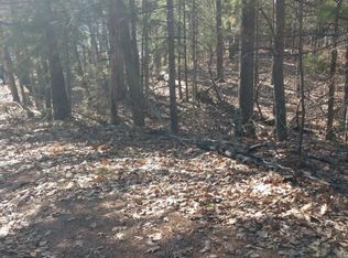 14167 Youngmans Ln, Lakewood, WI 54138