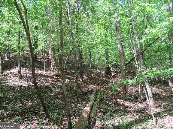 5th image of 0 Chestatee Spgs