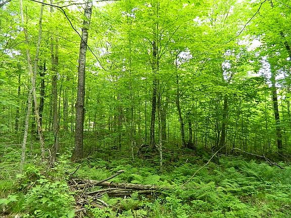 4th image of On Price Dam Road