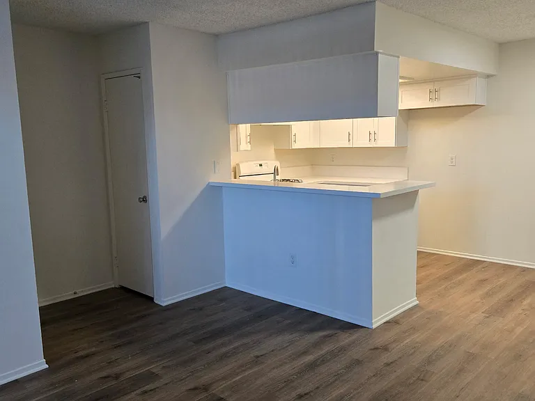 Franklin Luxury Apartments — Photo 25