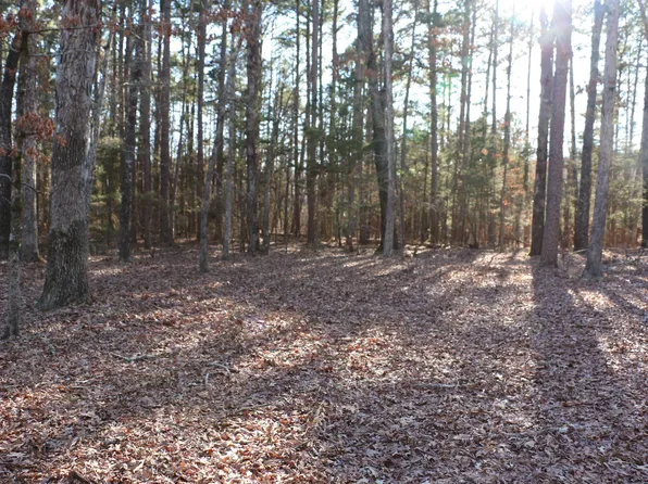 LOT 92 Dave Creek Pkwy, Fairfield Bay, AR 72088