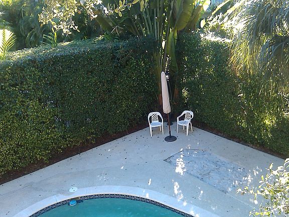 Back yard from balcony