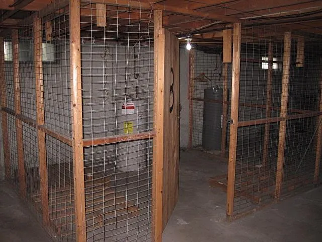 5 Minott St — Photo 22