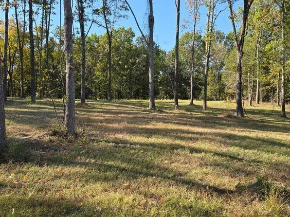 347 Cabin Hill Trl, Gamaliel, AR 72537