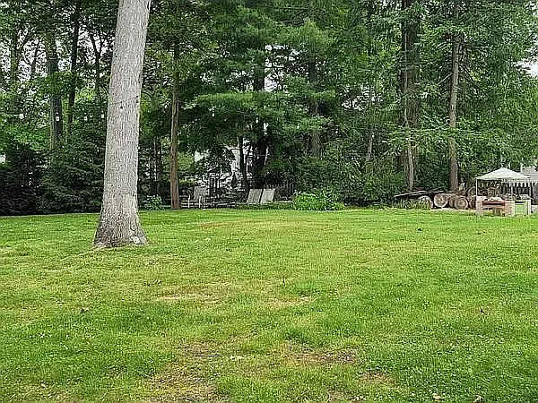35 Livingston Rd — Photo 1