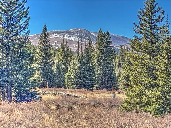 80 Gold Pan Ln, Fairplay, CO 80440