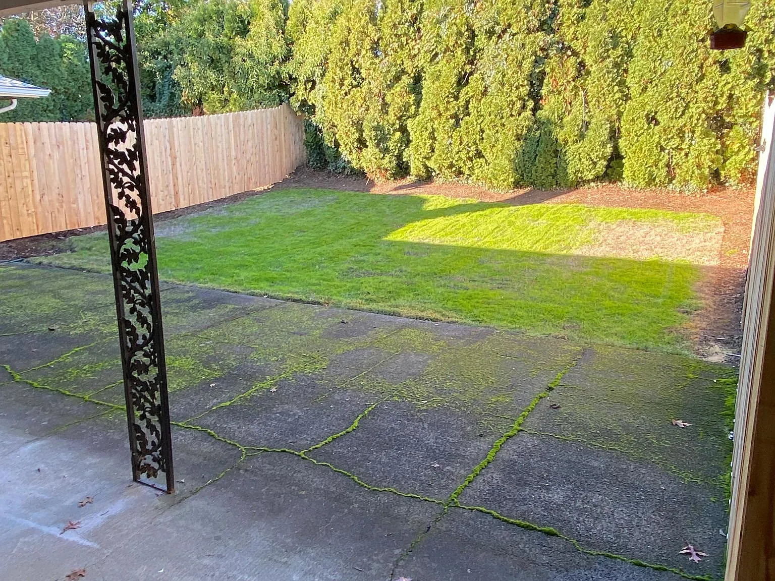 2 bed, 800 sqft, $1,500 — Photo 2