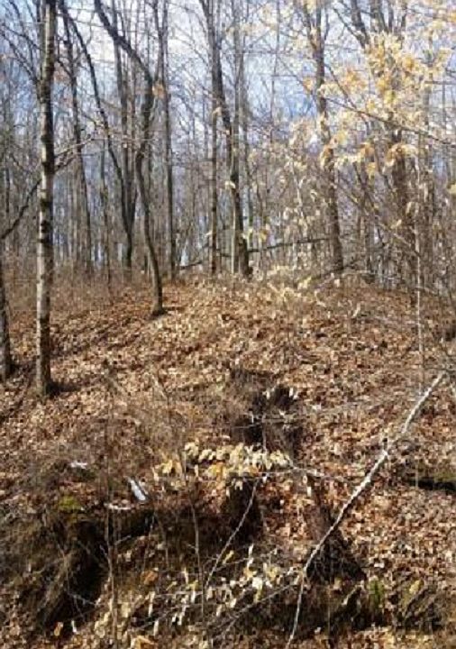 1st image of 15613 Nickle Plate Road
