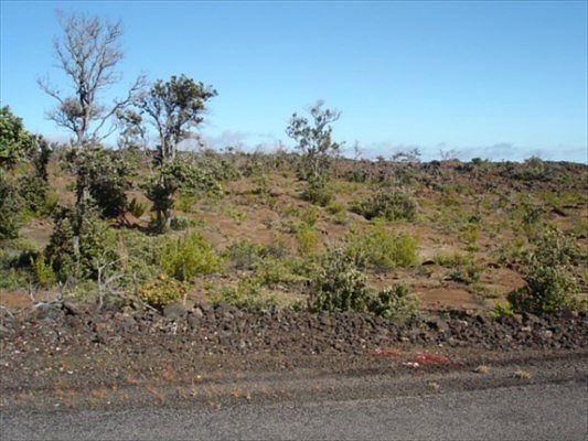 2nd image of Marlin Blvd Lot 19