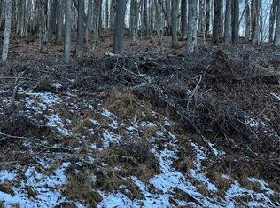 0 Puncheon Ln #151, Mars Hill, NC 28754