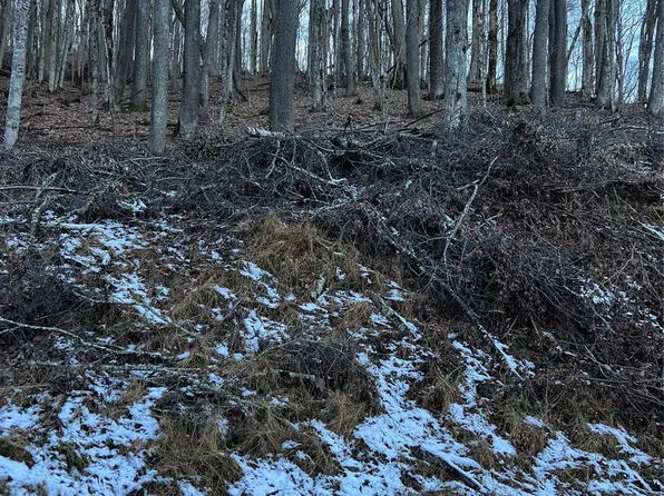 0 Puncheon Ln #151, Mars Hill, NC 28754