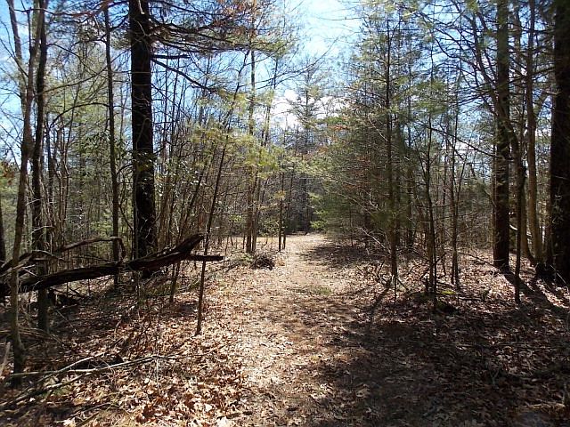 2nd image of 351 Mountain Laurel Dr