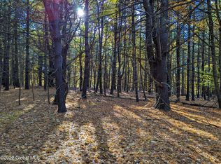 L10 Old Kings Rd, Hannacroix, NY 12087