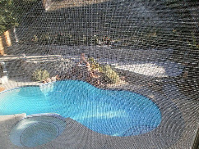 Landscaped back yard