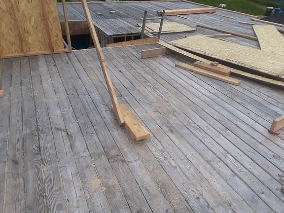 3rd image of 1309 Rhobina St