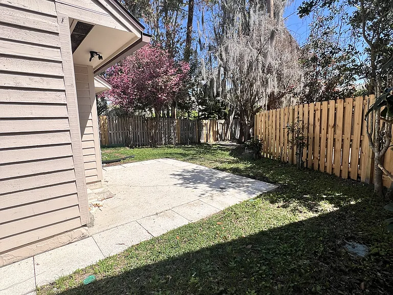 backyard