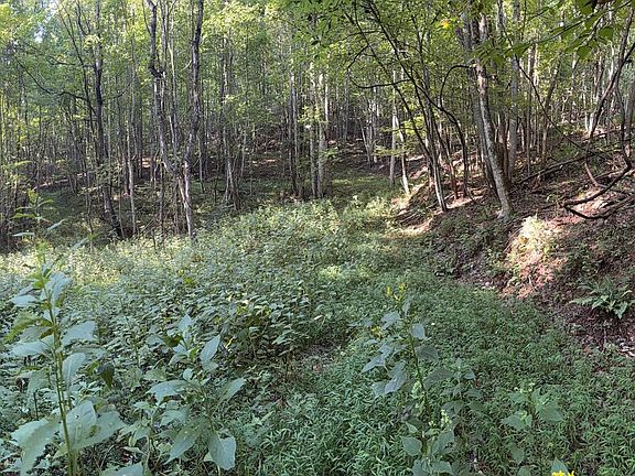 5th image of Five Forks Ln