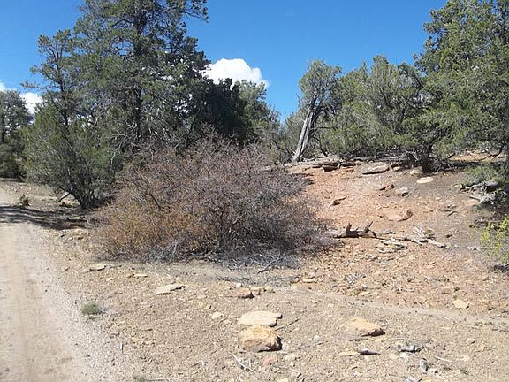 3rd image of 7 T Bear Ln