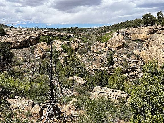 4th image of 14 Cedar Point Rd