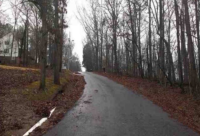 2nd image of 74 Shady Oak Ln