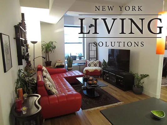 Rented by NY Living Solutions | media 41