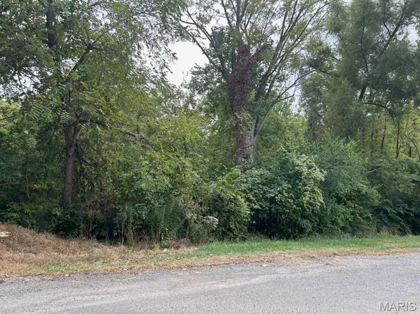 N Cole St, Vandalia, IL 62471