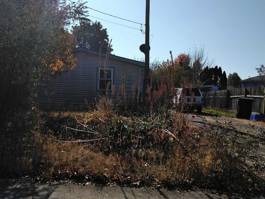 2nd image of 3540 Elmira Rd