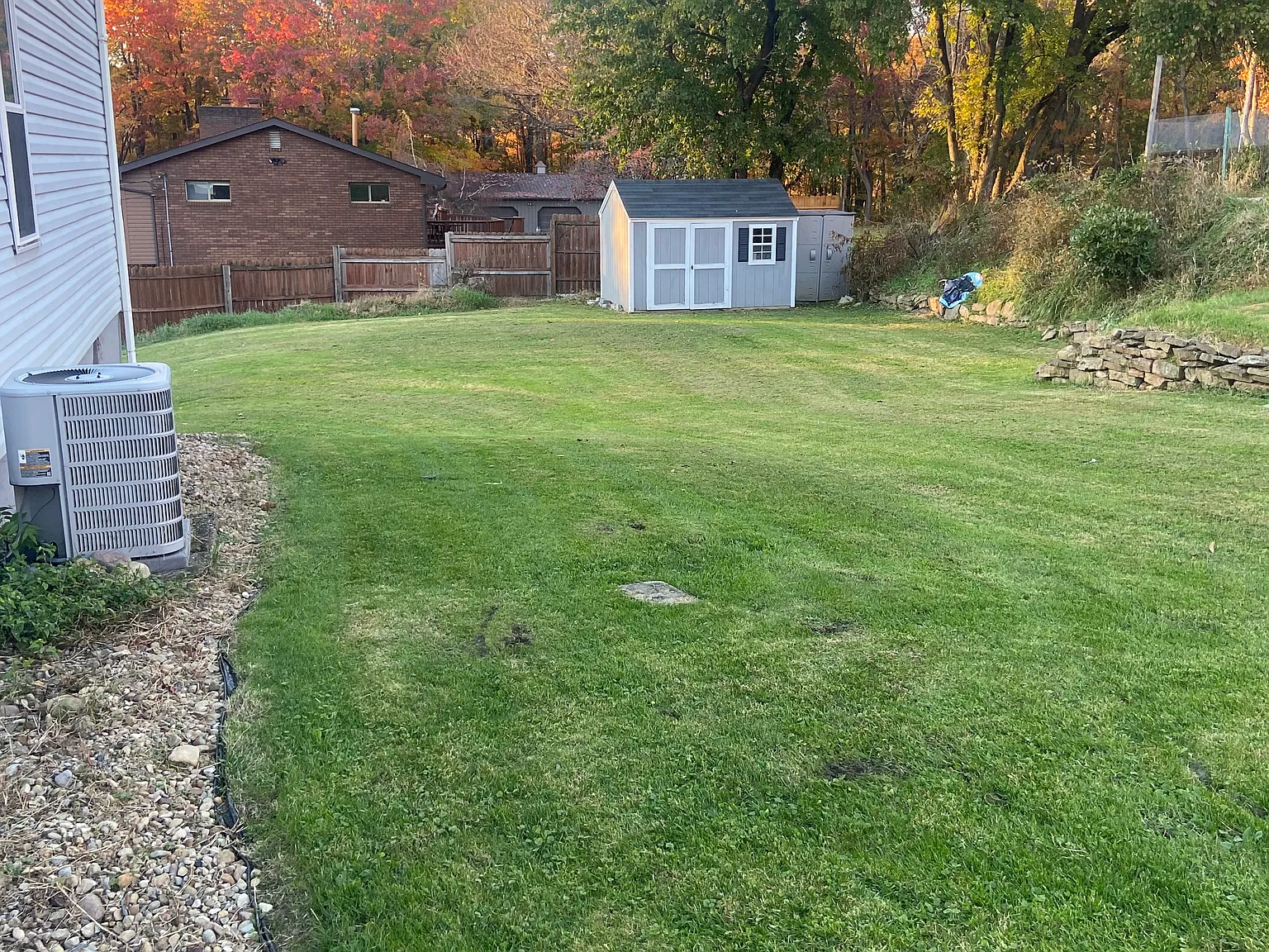 3 bed, 1600 sqft, $1,250 — Photo 4