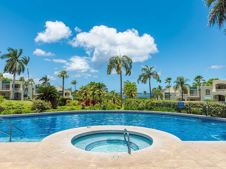 Wailea Alanui Dr — Photo 33