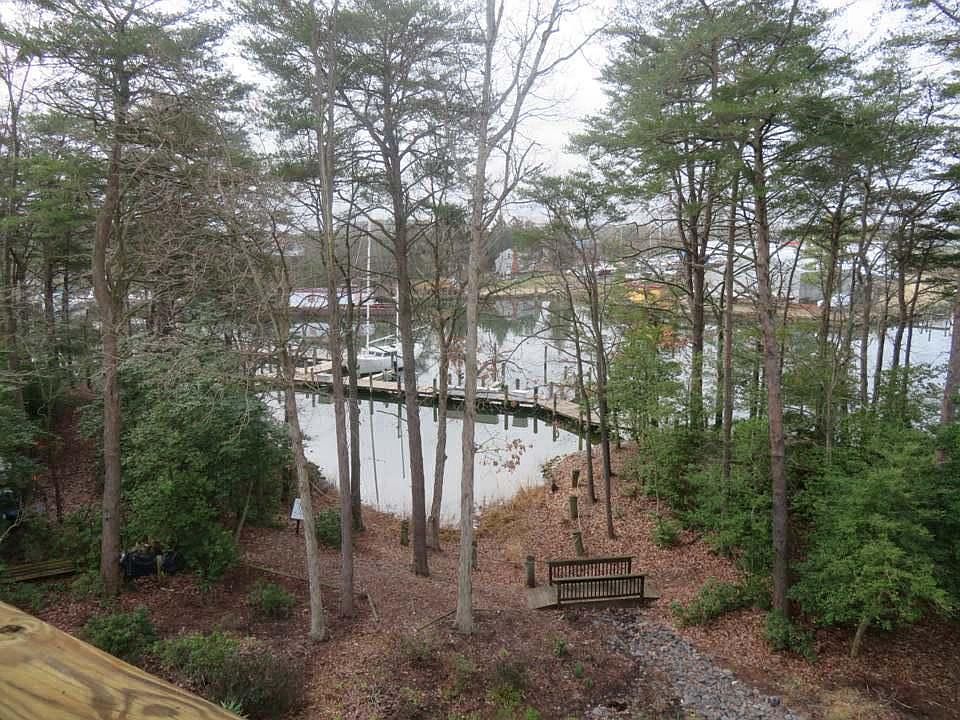 View from the deck