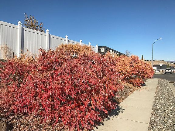 Fully landscaped streetside