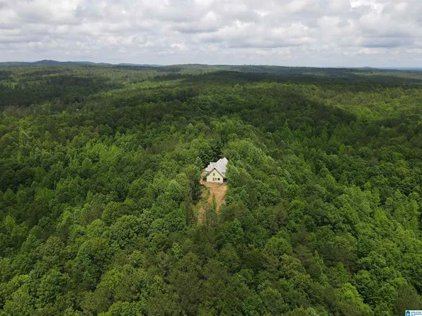 720 Good Hope Delta Rd, Delta, AL 36258