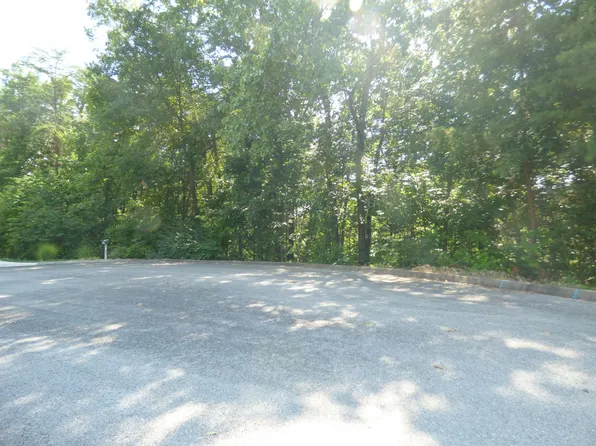 0 Lakeview Dr Lot 8, Harriman, TN 37748
