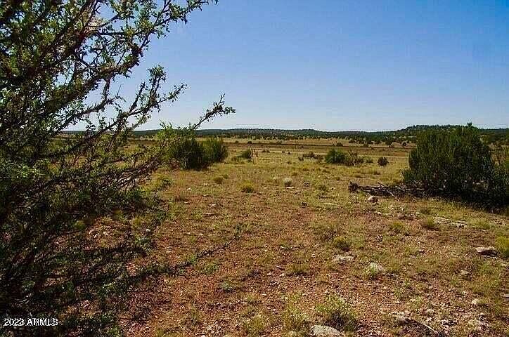 1st image of TBD Antelope Dr Lot B1 10 Acres -- #D