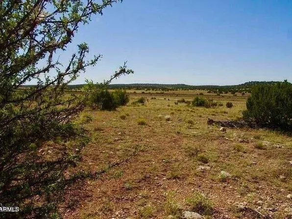 TBD Antelope Dr Lot B1 10 Acres -- #D, Seligman, AZ 86337