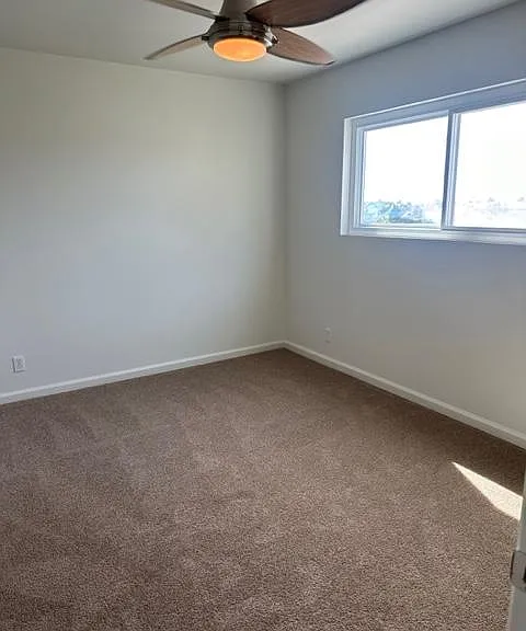 Primary bedroom with new carpet.