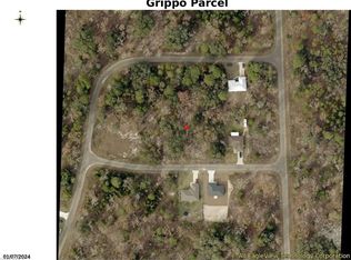 0 Guava Place Pass, Ocklawaha, FL 32179