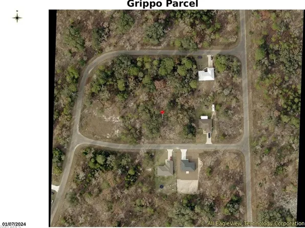 000 Guava Place Pass, OCKLAWAHA, FL 32179