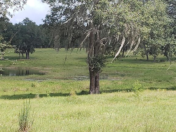 3rd image of 0 COUNTY ROAD 308