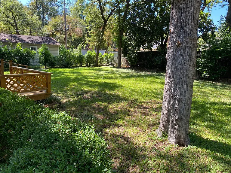 Backyard #3