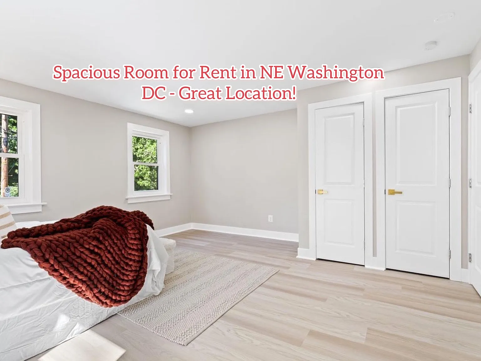 1 bed, 915 sqft, $850 — Photo 2