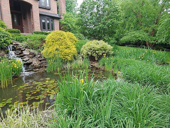 Closer view of waterfall/pond
