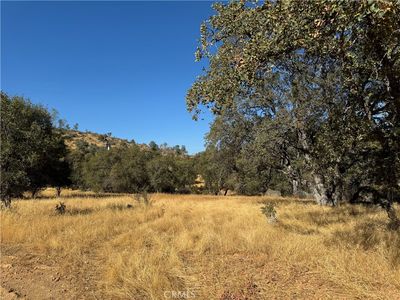 0 Bear Valley, Mariposa, CA, 95338