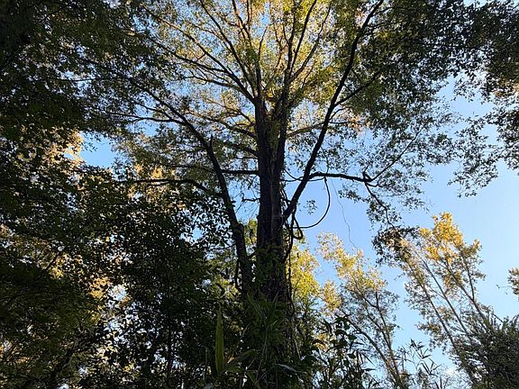 5th image of Poplar Hill Rd